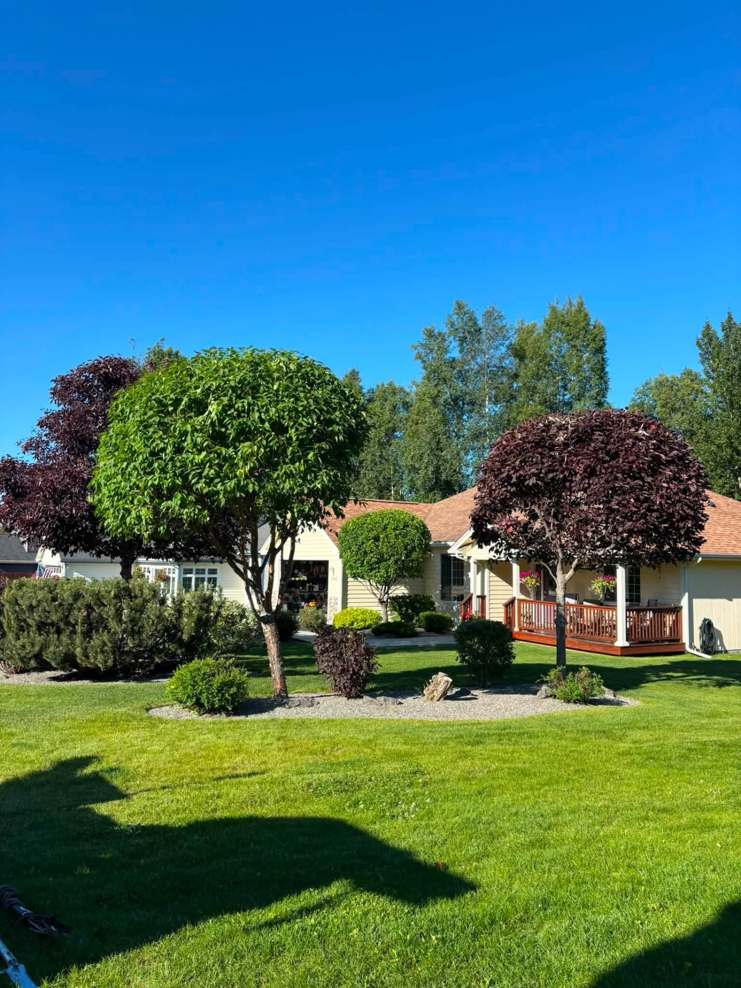 Wide view of a landscaped Alaska property with sculpted trees and green lawn